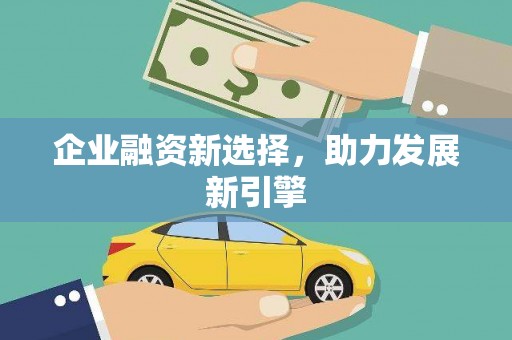 玉里企业融资新选择，助力发展新引擎