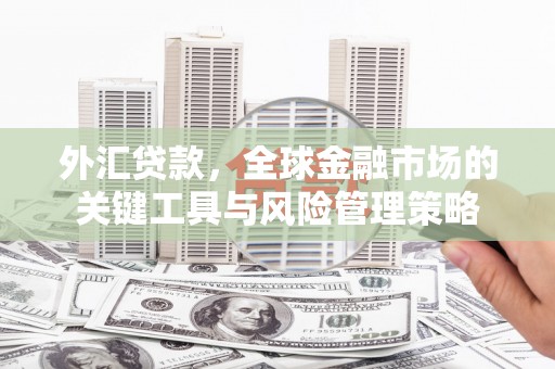 玉里外汇贷款，全球金融市场的关键工具与风险管理策略