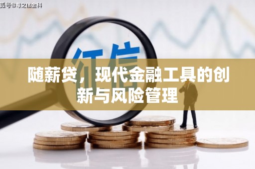 玉里随薪贷，现代金融工具的创新与风险管理