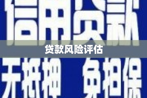 玉里贷款风险评估