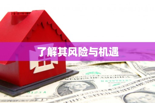 玉里了解其风险与机遇