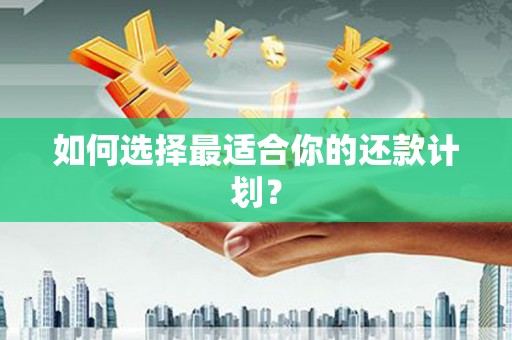 玉里如何选择最适合你的还款计划？