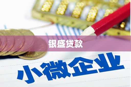 玉里银盛贷款