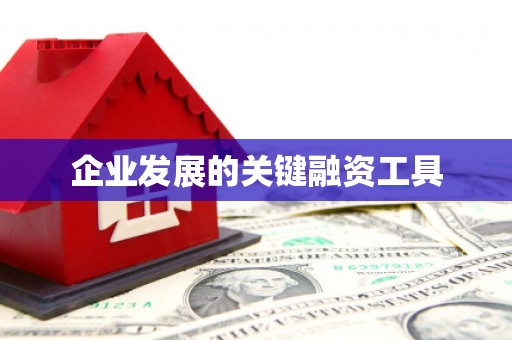 玉里企业发展的关键融资工具