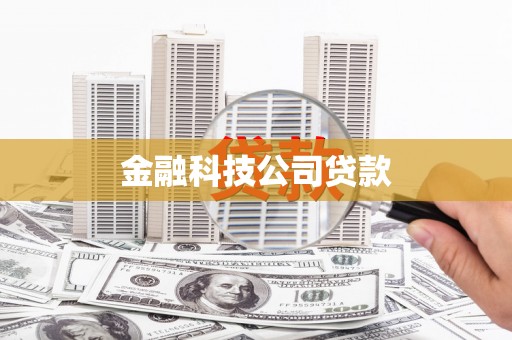 玉里金融科技公司贷款