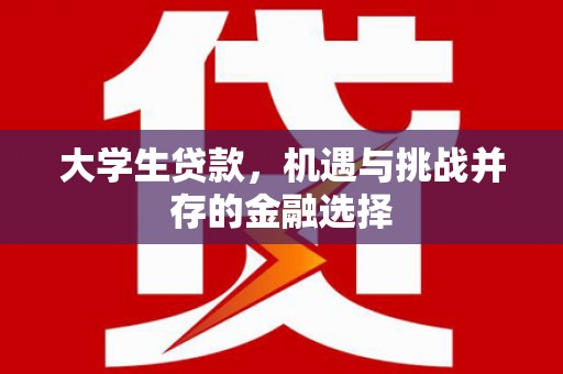 玉里大学生贷款，机遇与挑战并存的金融选择