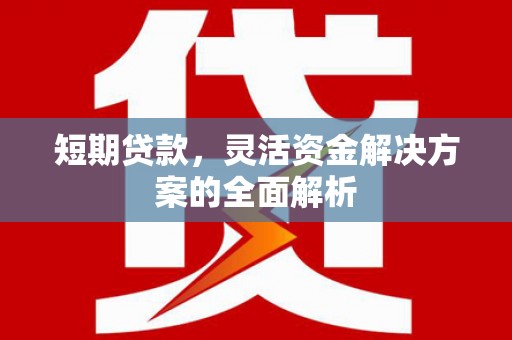 玉里短期贷款，灵活资金解决方案的全面解析