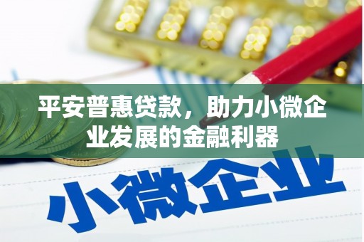 玉里平安普惠贷款，助力小微企业发展的金融利器