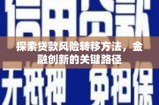 玉里探索贷款风险转移方法，金融创新的关键路径