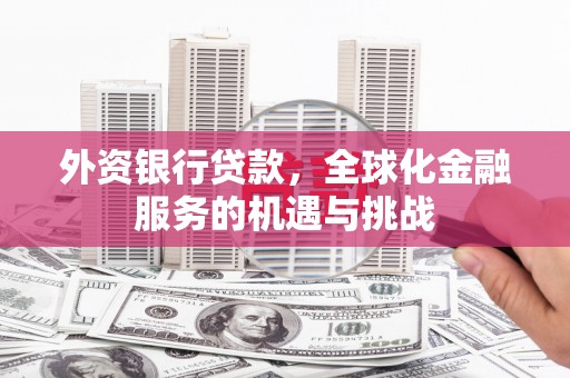 玉里外资银行贷款，全球化金融服务的机遇与挑战