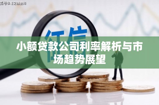 玉里小额贷款公司利率解析与市场趋势展望