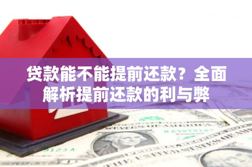 玉里贷款能不能提前还款？全面解析提前还款的利与弊