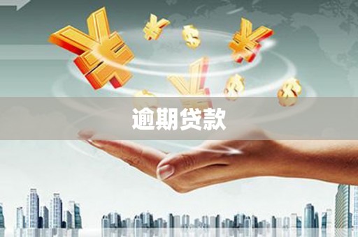 玉里逾期贷款