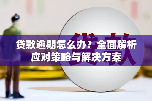 玉里贷款逾期怎么办？全面解析应对策略与解决方案