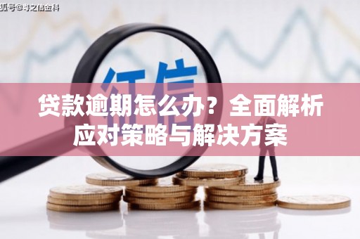 玉里贷款逾期怎么办？全面解析应对策略与解决方案