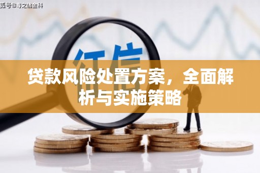 玉里贷款风险处置方案，全面解析与实施策略
