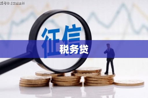 玉里税务贷