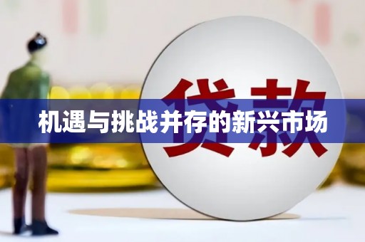 玉里机遇与挑战并存的新兴市场