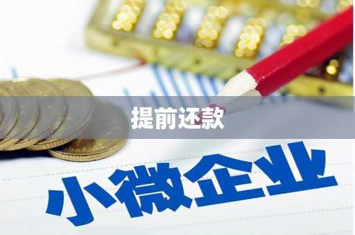 玉里提前还款