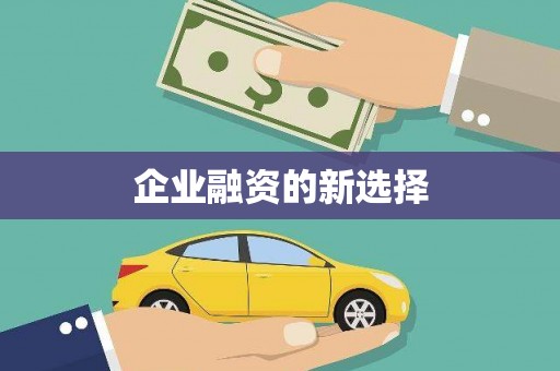 玉里企业融资的新选择